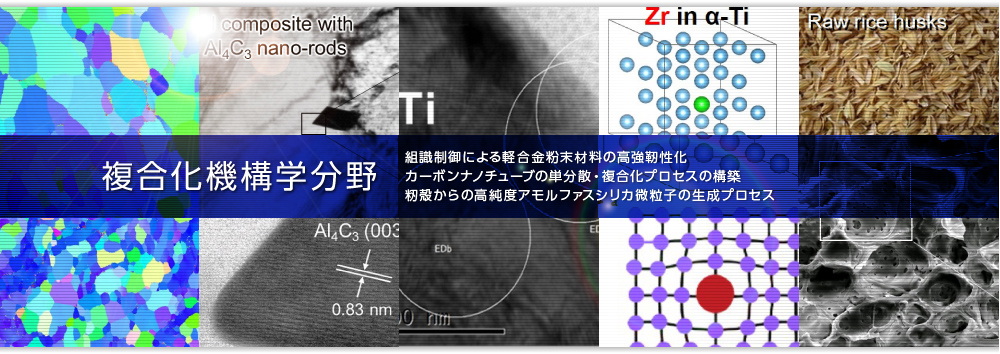 複合化機構学分野 微細組織制御による軽合金の高強靭性化
カーボンナノチューブの単分散・複合化プロセスの構築 バイオマスからのエタノール/アモルファスシリカ併産複合プロセスの構築